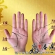 中医手诊图解十四条掌纹诊病 （转载）
