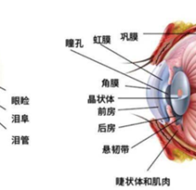 手机看多了，当心“干眼症”！保护双眼这样做