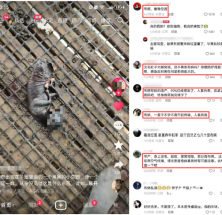 摸了一下羊圈里出现的黑色物体，竟然有可能不孕不育？