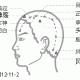 十二经脉·足少阳胆经（共44穴之中8穴）