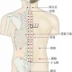 背部奇穴●定喘
