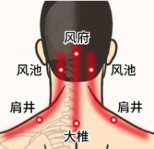 经常按揉大椎穴可调节全身阳气、增强免疫