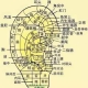 耳与脏腑经络的关系