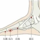 足太阴腧穴●太白 (足太阴脾经输穴、原穴)