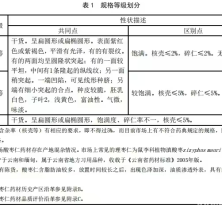 “酸枣仁”为什么如此引人注目