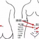 温敷四穴 强身健体