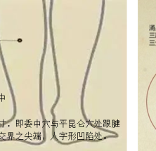 坚持晨白晚“3分钟”养生功让您拥有一个好身体
