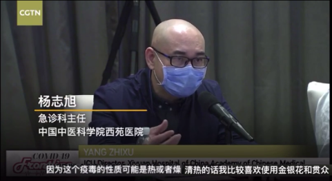 CGTN中国杨志峰与加拿大交流中药抗疫