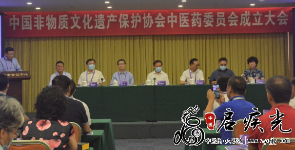 非遗中医药委员会 启疾光