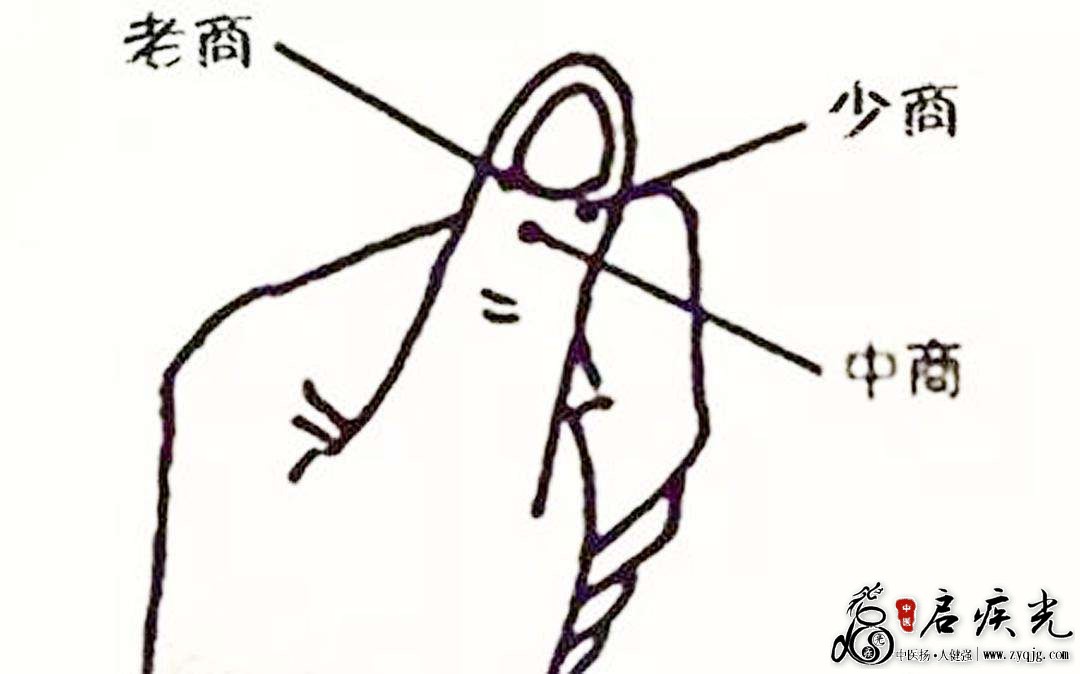 少商放血的准确位置图