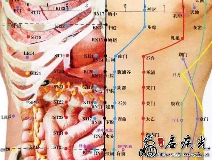 胸部穴位