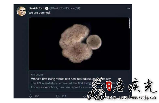QQ图片20211201190410.png