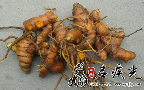 黄姜.png