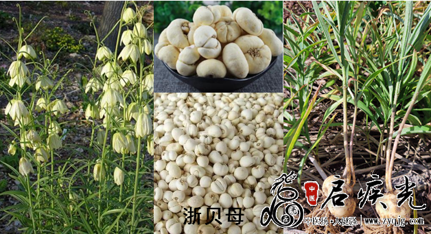 QQ图片20211208142748.png
