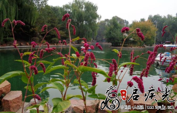 QQ图片20220120130106.png