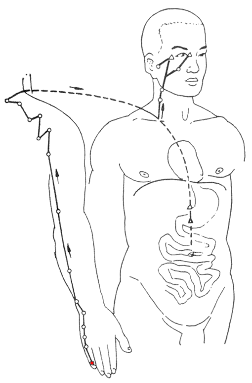 6.gif