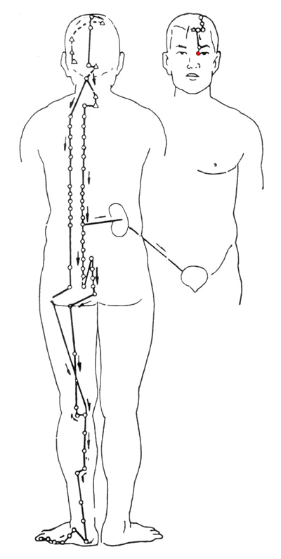 7.gif