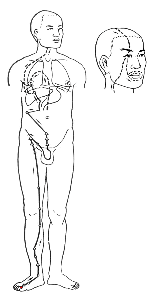 12.gif