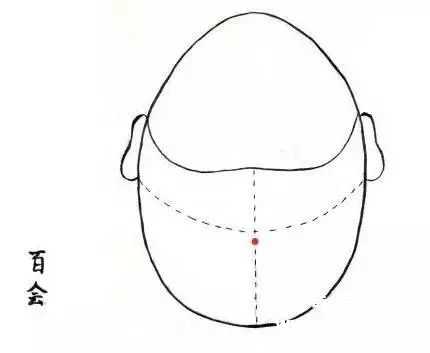 百会.jpg