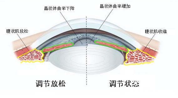 QQ图片20241112213716.png