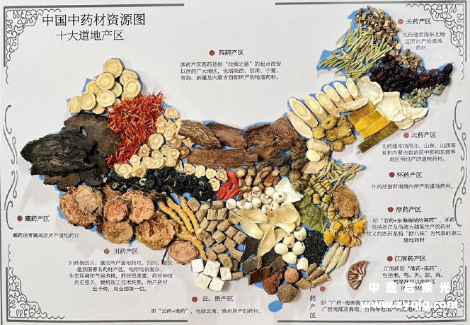 道地药材十大产区.png