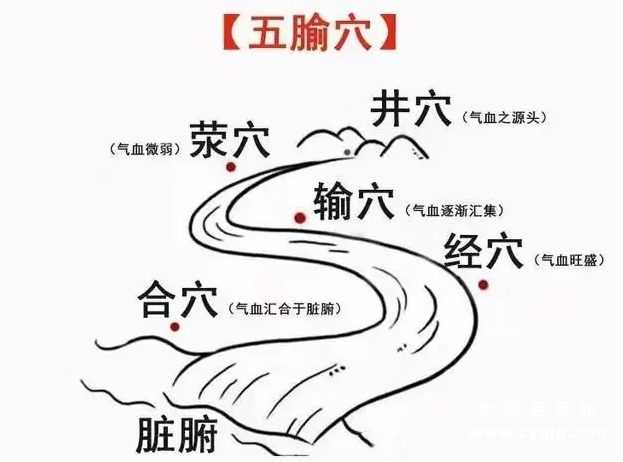 井荥输经合插图