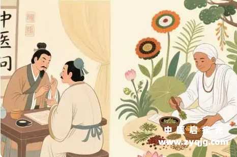 印度阿育吠陀和中医的区别