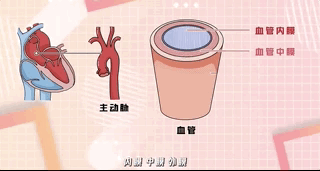 50acc4d83921cf8c1fa2fcc01b2a51a4.gif