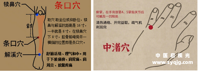 中渚穴条口穴位置功效.png