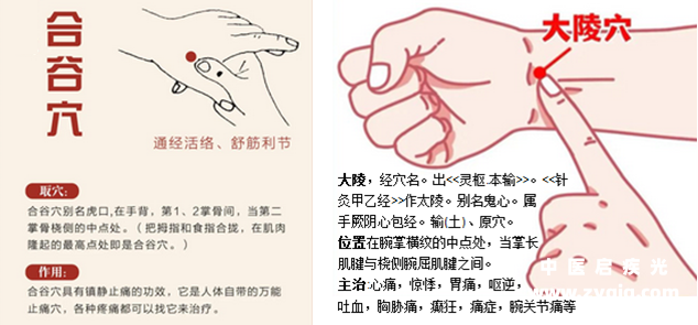 合谷大陵穴位置主治.png