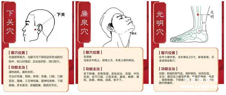 下关、廉泉、光明穴位置功用.png