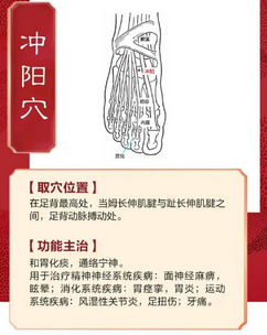 冲阳穴位置主治.png