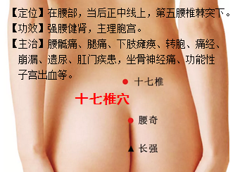 十七椎穴位置功用.png