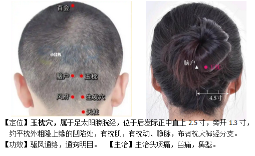 玉枕穴位置功用.png