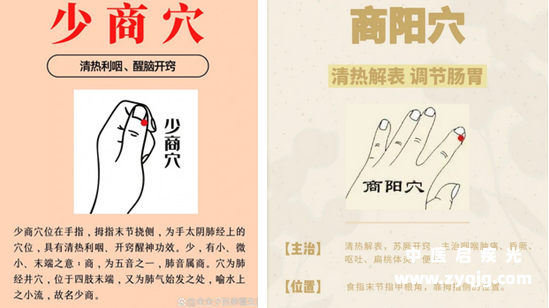 少商商阳穴位置功用.png