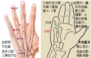 手上穴位关冲液门中渚阳池和少府.png