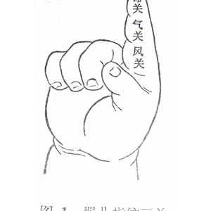第一节 望诊（5 望小儿指纹）