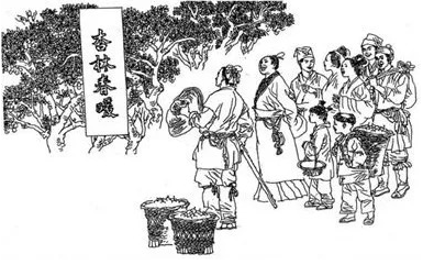 杏林春暖董奉（古代中医开创者￭三十六名医谱之五）
