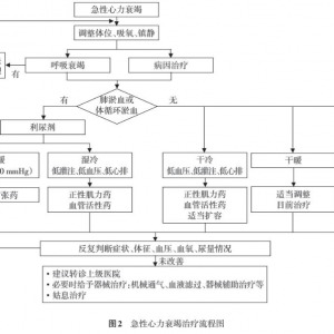 急性心力衰竭基层诊疗指南（2019年）