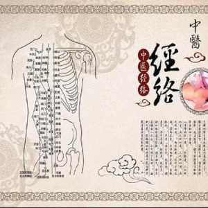 经络畅通是养生的关键和基础