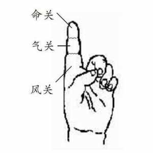 手指脉纹式