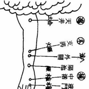 亥 手少阳三焦经  子 足少阳胆经  丑 足厥阴肝经[穴法（神应经）之五] ...