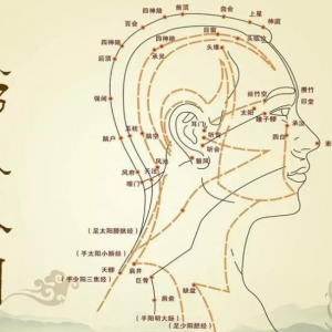 六阳会首话经络 梳头保健气血活