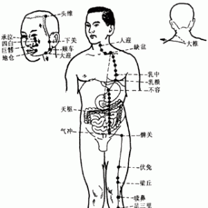 十二经脉·足阳明胃经（共45穴之前7穴）