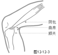 足厥阴肝经穴