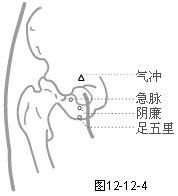 足厥阴肝经穴