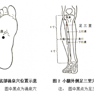 老年人体质之平和质的中医药保健方法