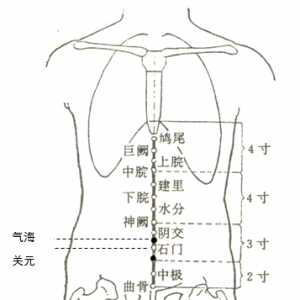 老年人体质之气虚质的中医药保健方法