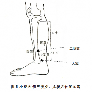 老年人体质之阴虚质的中医药保健方法