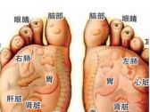 中医特色疗法---足疗